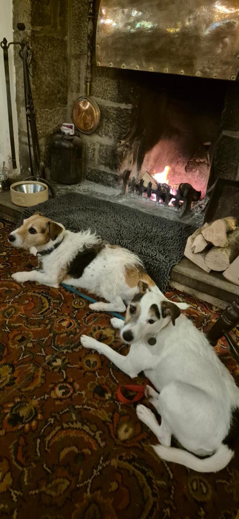 The Talbot Hotel Ledbury Bagian luar foto